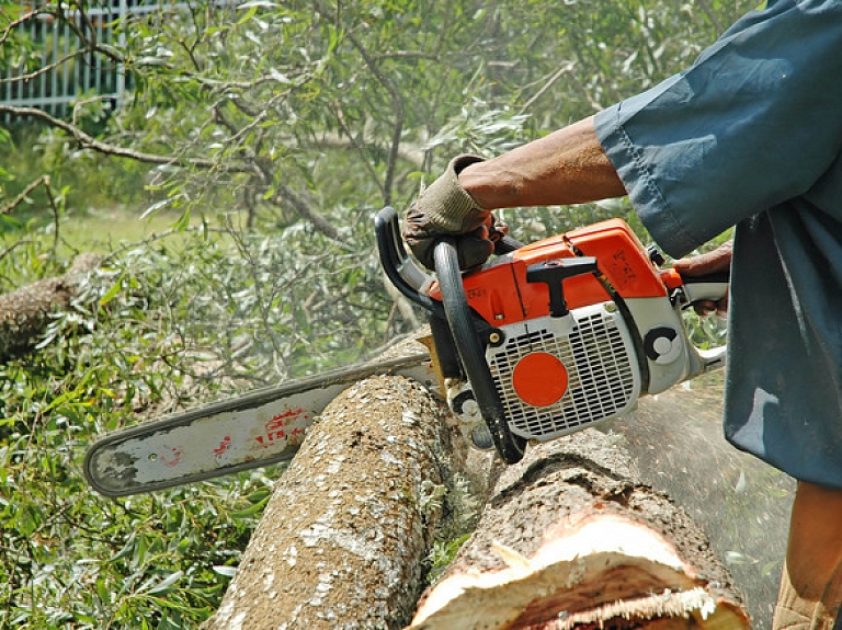 Veikalu tīkls "Stokker" Rēzeknē meklēs labāko Latvijas zāģētāju

