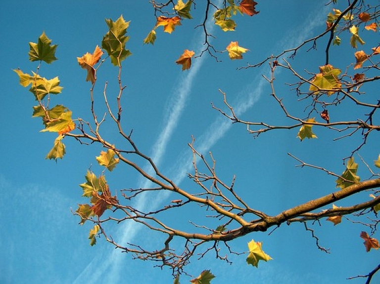 Rēzeknē gaiss atdzisis līdz mīnus 1,4 grādiem

