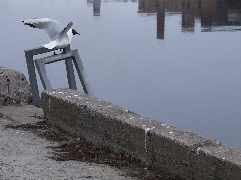 Tankkuģis "Flagman 1" veiksmīgi novilkts no sēkļa

