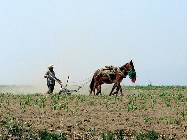 Nacionālajā bibliotēkā pasniegs ikgadējā lauksaimnieku konkursa "Sējējs" balvas   
