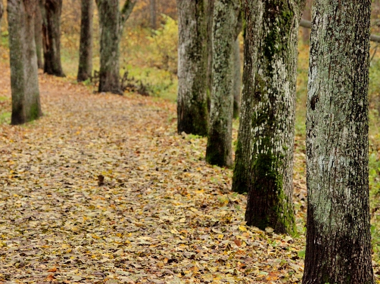 Rēzeknē apskatāma izstāde "Rudens. Zelta rudens"