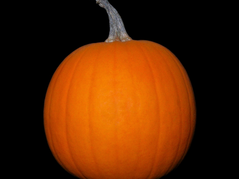 Rīgas Zooloģiskajā dārzā mērīs Latvijas lielākos ķirbjus