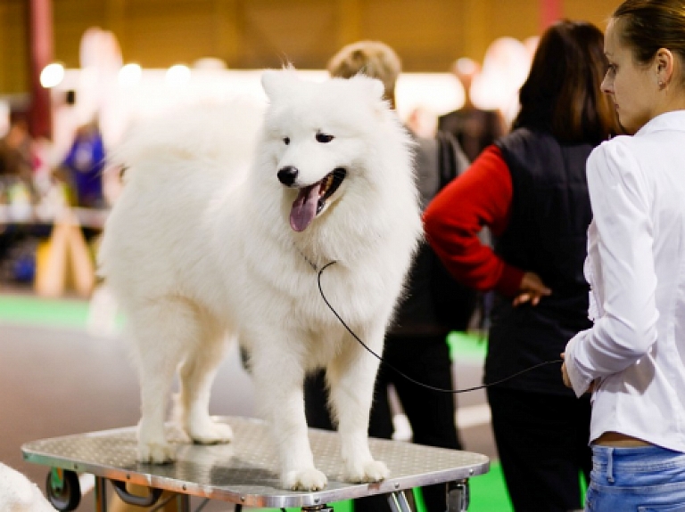 Mīļie un pūkainie aicina uz "ZooExpo 2015" Ķīpsalā

