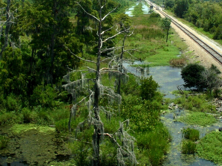 Rīgā notiks sabiedriskā apspriešana par Rail Baltica

