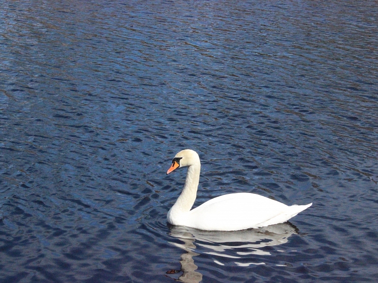 Raidījums: Rāznas nacionālajam parkam jākļūst par vienotu tūrisma galamērķi

