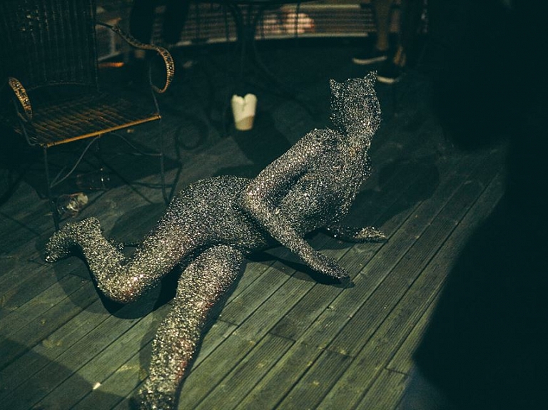 Aicina pie Rīgas Cirka ēkas noskatīties performanci par dzīvnieku ciešanām

