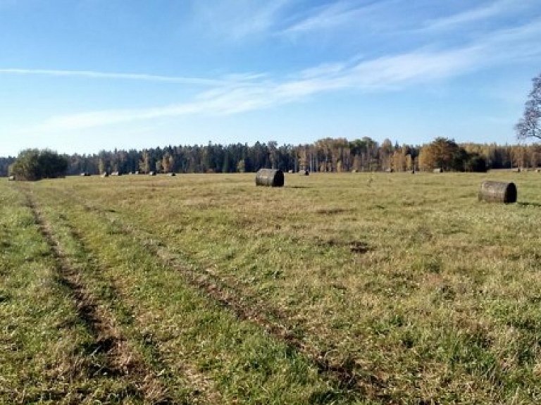 Apstiprināts Ceļu sakārtošanas nolikums

