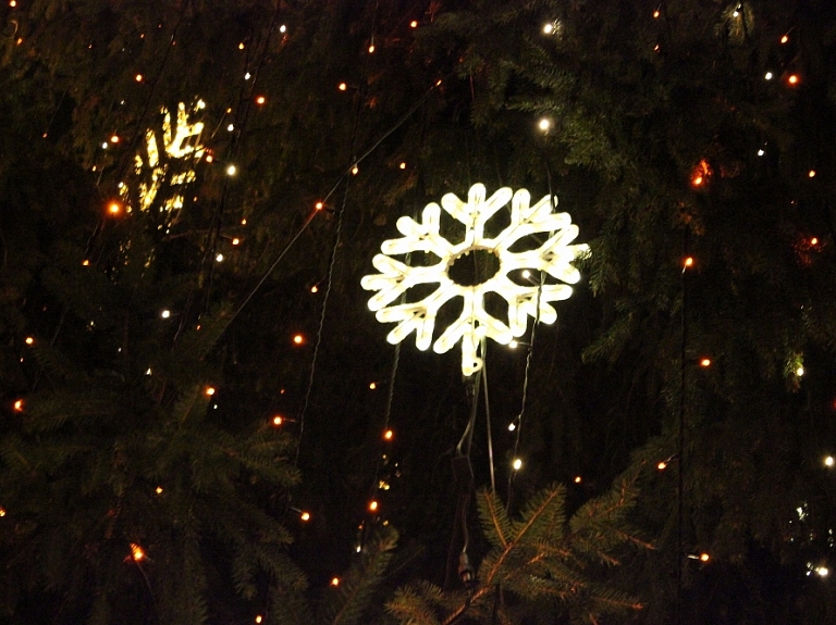 Notiks jau piektā bezglutēna Ziemassvētku eglītē

