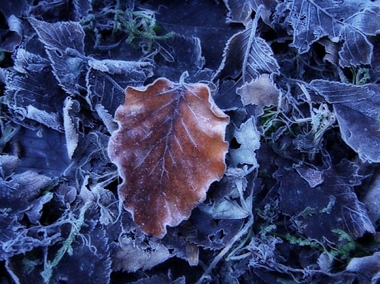 Alūksnē svētdienas rītā gaisa temperatūra noslīdējusi līdz mīnus pieciem grādiem