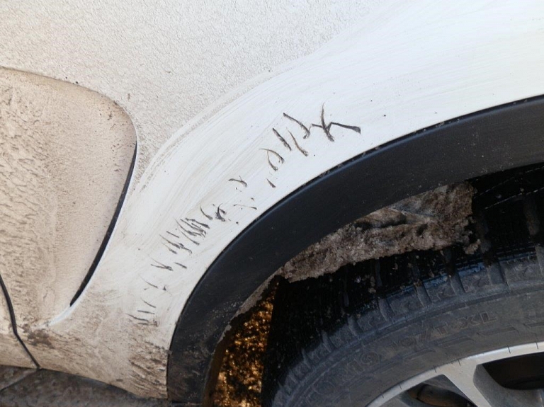 Suns sagrauž "BMW X5" virsbūvi

