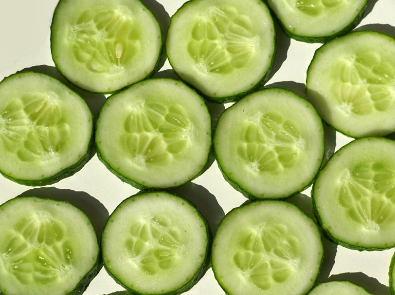 Zemkopības ministrs apmeklēs Mārupes jaunās siltumnīcas