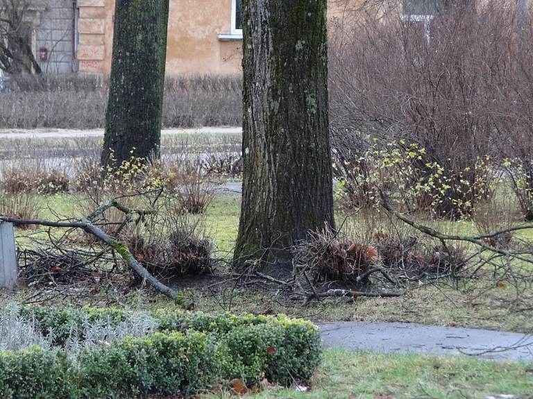 Rīgā vējš sasniedzis 18 metrus sekundē