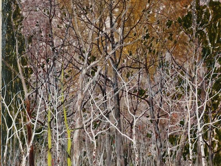 Izsludina darbu iesniegšanu Jāzepa Pīgožņa balvai

