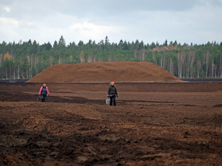 Kūdras ražotāja "Greenyard Horticulture Latvia" apgrozījums pērn pieaudzis 1,8 reizes