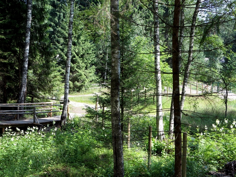 Mežotnes pilskalnā ierīkota spožajai skudrai veltītā vides izziņas taka