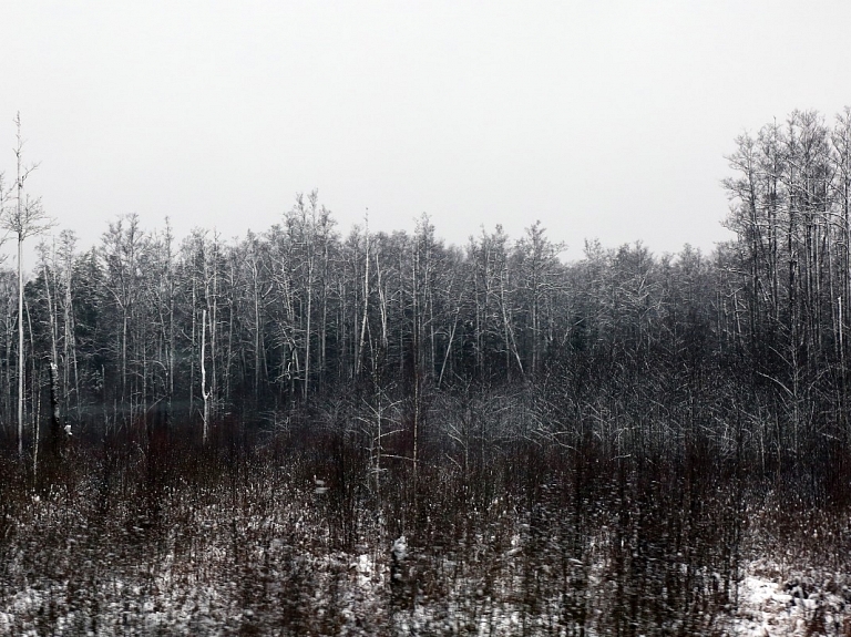 Sestdien, sākot no valsts rietumiem, gaidāms lietus un neliels sniegputenis