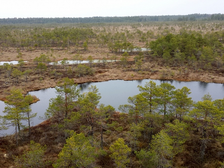 Pārgājienā iepazīs noslēpumaino Teiču dabas rezervātu