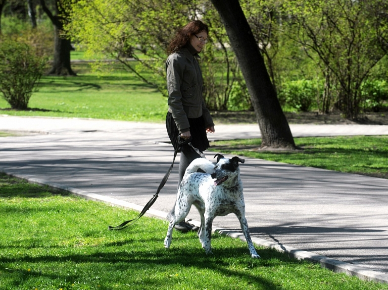 Jelgavā noslēgusies divu suņu pastaigu vietu izveide