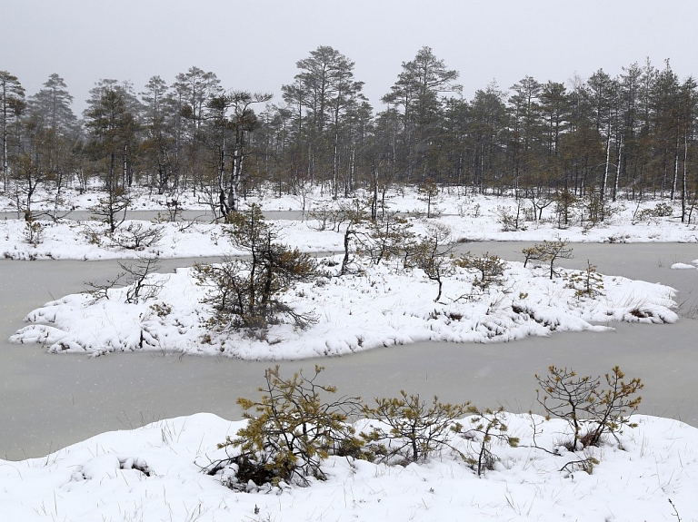 Stompaku purvā nākamajā nedēļas nogalē norisināsies izglītojošs pārgājiens "Izbaudi ziemu mitrājā"