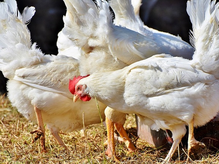 Lopkopības, putnkopības un dzīvnieku barības tirdzniecības nozares uzņēmuma līdera pozīciju pērn saglabāja "Putnu fabrika "Ķekava"