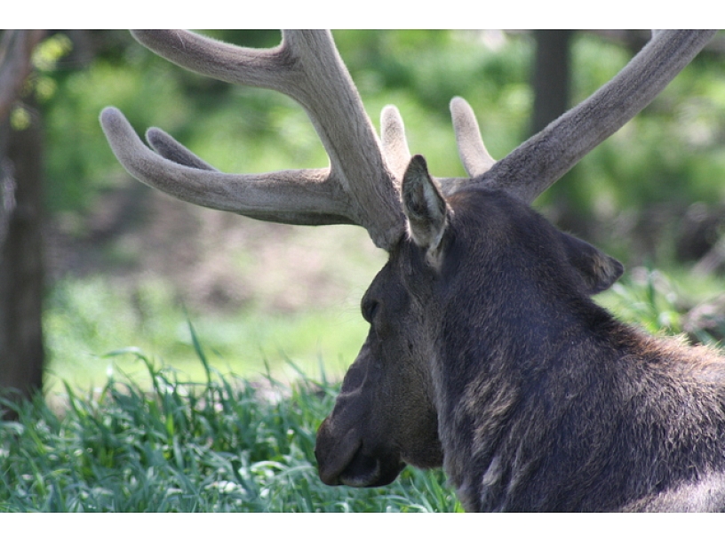 Ilustratīvs foto/ Foto: Stock.XCHNG