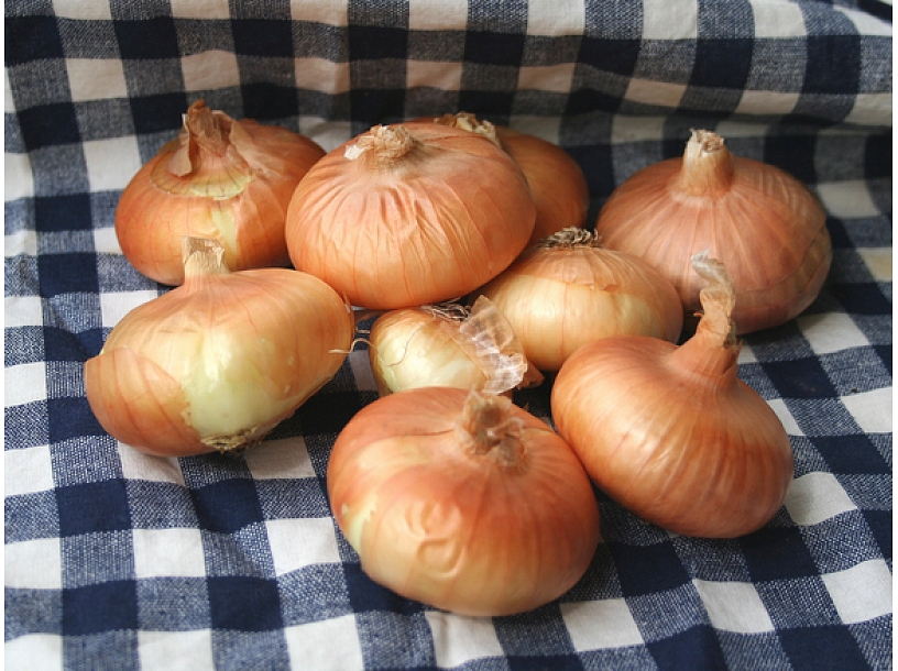 Ilustratīvs foto/ Foto: Stock.XCHNG