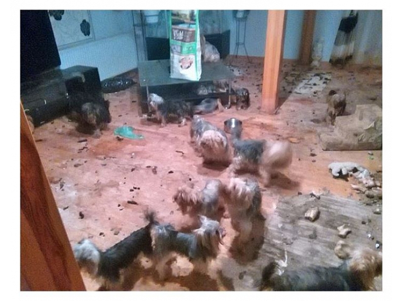 Zanda Bērziņa Radziņa/Facebook.com