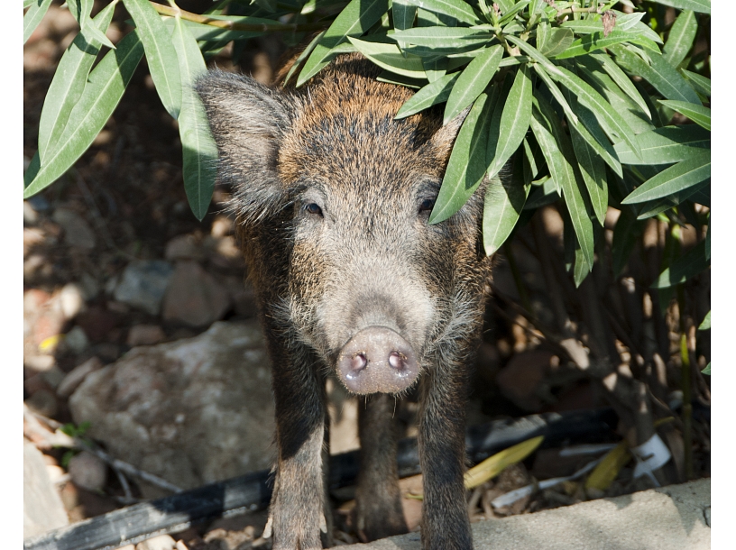 Ilustratīvs foto/ Foto: Stock.XCHNG