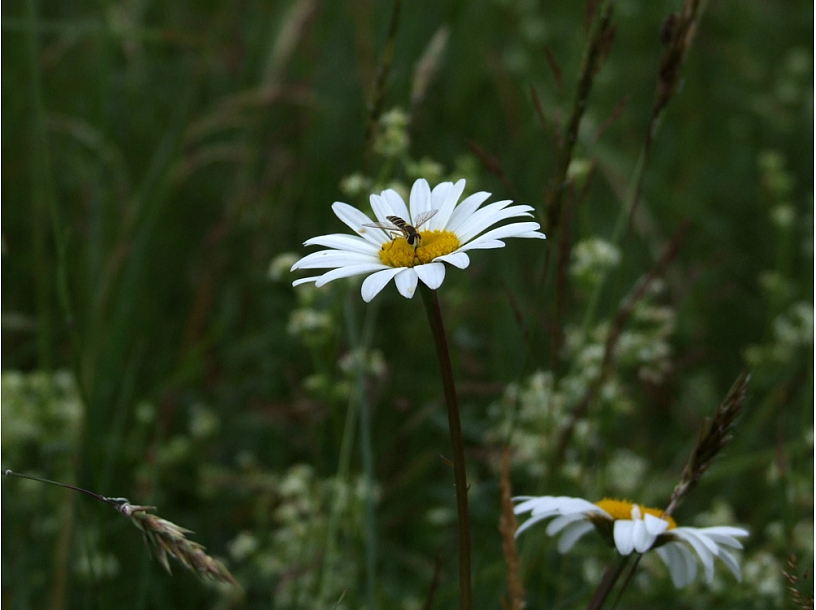 Ilustratīvs foto/ Foto: Riga24.lv