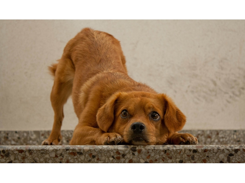 Ilustratīvs foto/ Foto: Stock.XCHNG