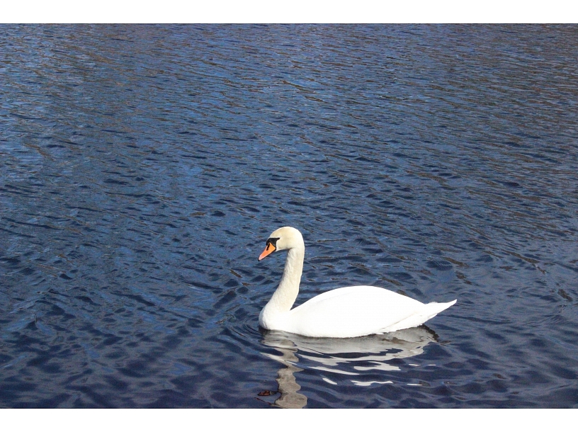 Ilustratīvs foto/ Foto: Rezekne24.lv