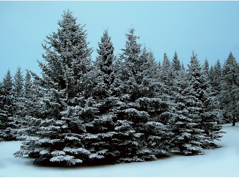 Ilustratīvs foto/ Foto: Stock.XCHNG