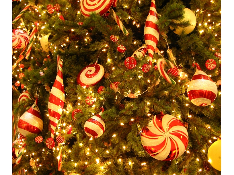 Ilustratīvs foto/ Foto: Stock.XCHNG