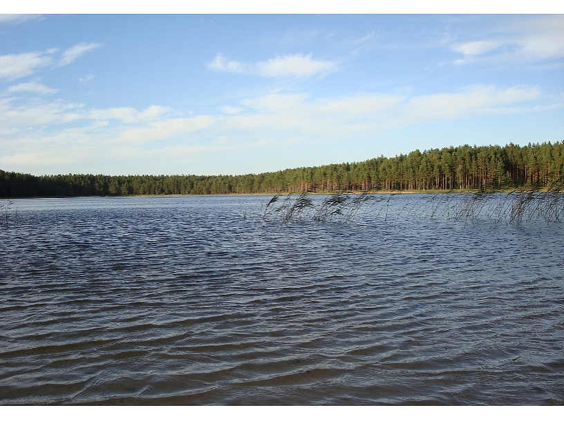 Foto: Edgars Vaivads