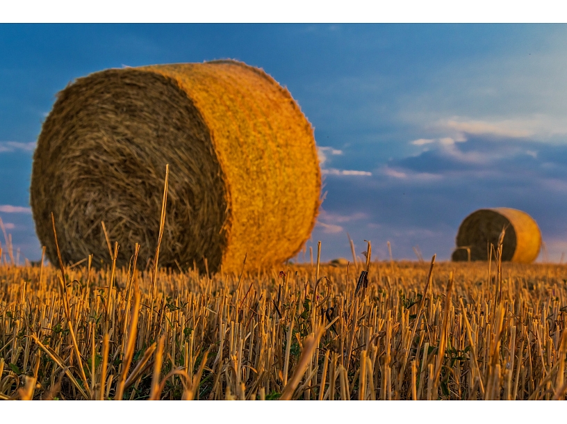 Ilustratīvs foto/ Foto: Pixabay