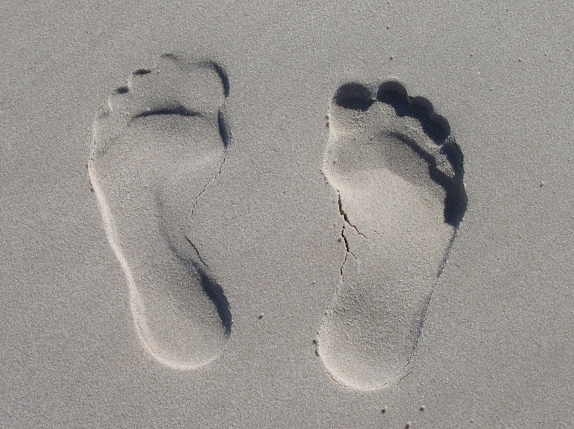Ilustratīvs foto/ Foto: Pixabay