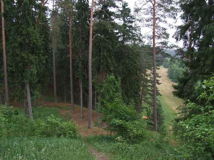 Dāvis Kļaviņš/flickr.com