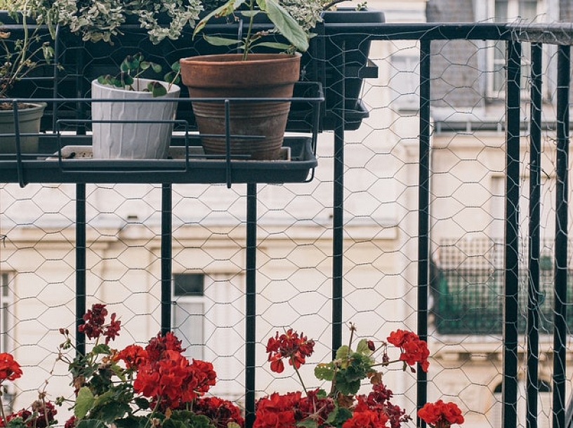 Foto: Pexels.com