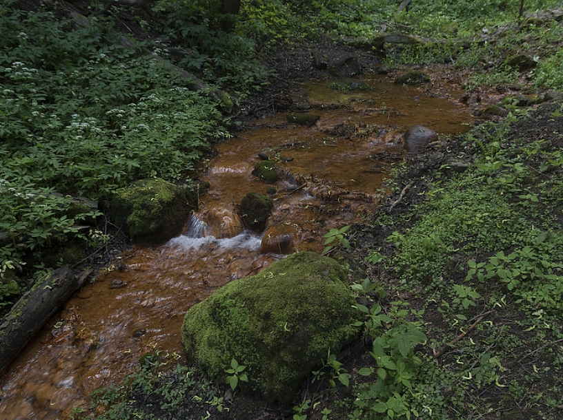 Dāvis Kļaviņš/flickr.com