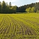 Lauksaimnieciskie pakalpojumi