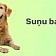 suņu barība