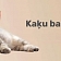 kaķu barība