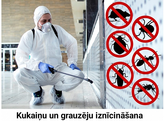 Dezinsekta, IK