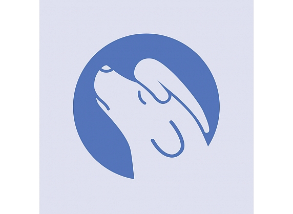 VITA COMITE MEDICUS, SIA