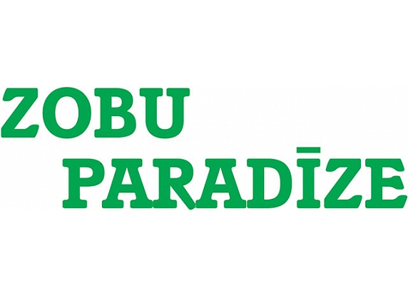Diennakts zobārstniecība, SIA Zobu Paradīze