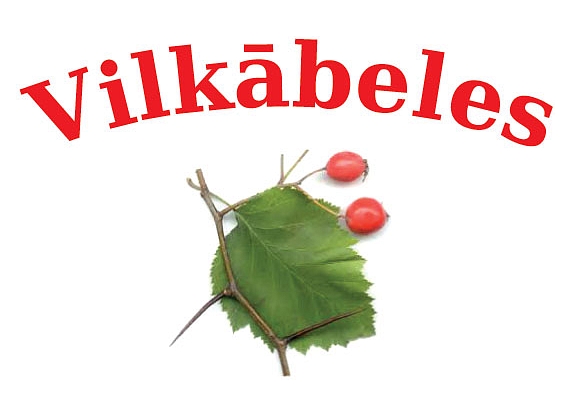 Vilkābeles, bistro, ēdināšanas uzņēmums, SIA SOLMARO