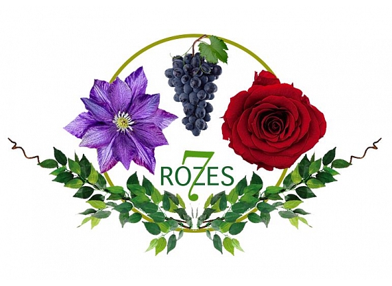 Stādaudzētava 7 Rozes