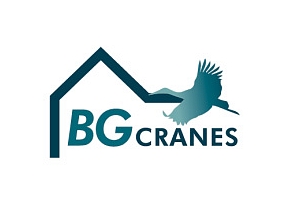 BG Cranes, SIA