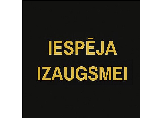 Iespēja izaugsmei, SIA, alternatīvā izglītības un sociālās attīstības sistēma