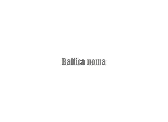 Baltica noma, SIA, būvgružu konteineru noma